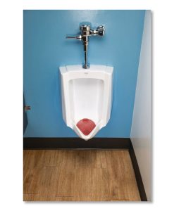 Boardwalk®Urinal Screen, Cherry Scent, Red, 1.8 oz, Dozen