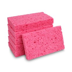 Sponges